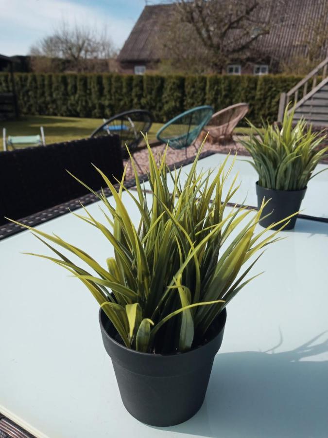 Ferienwohnung Nr. 4 - Dünensand Werdum Exterior foto